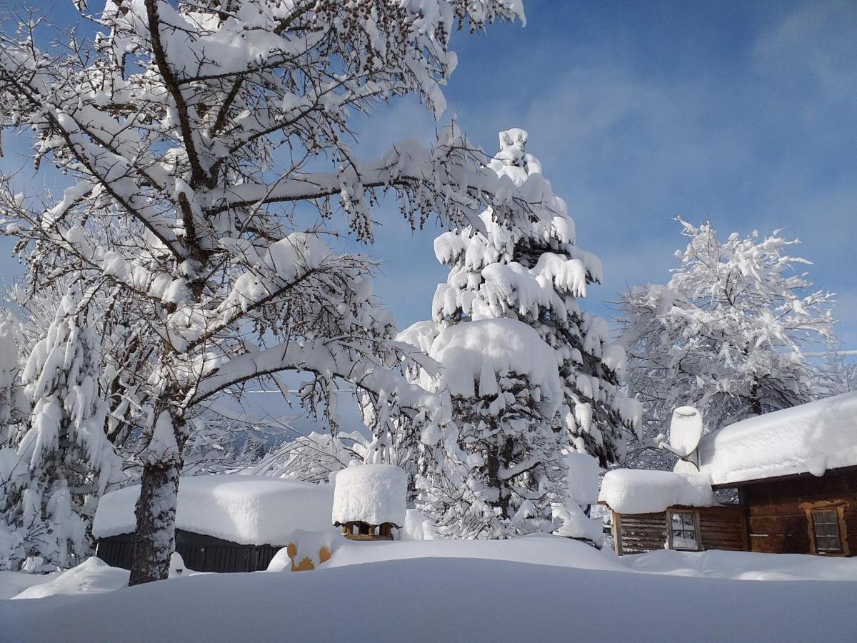 Appartement Rianne/Landhaus Almidyll Seefeld in Tirol Exterior foto